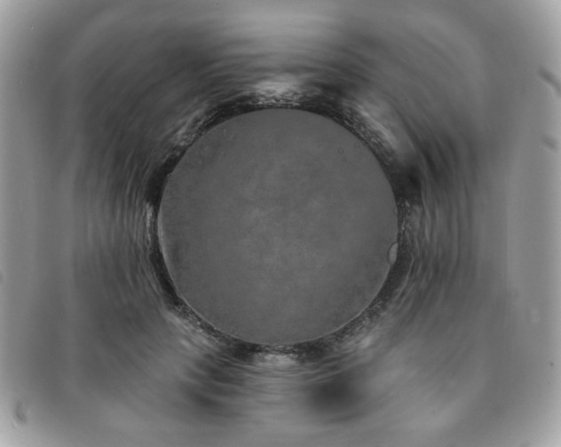X0000091530649200708171222
