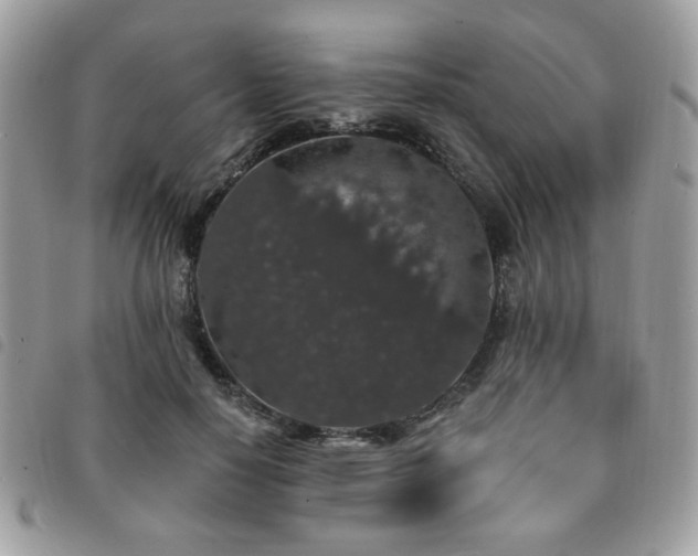 X0000091530650200708171222