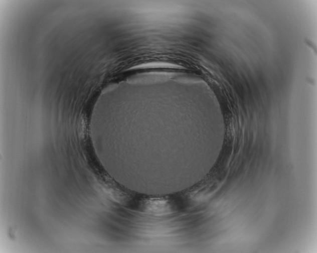 X0000091530651200708171222