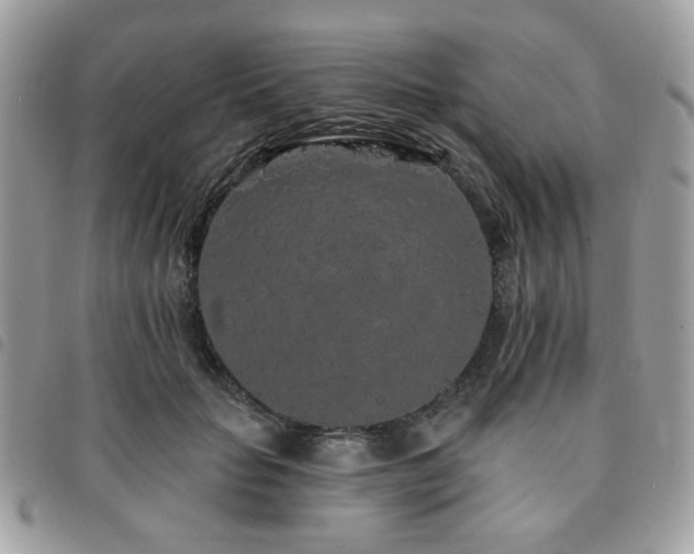 X0000091530653200708171222