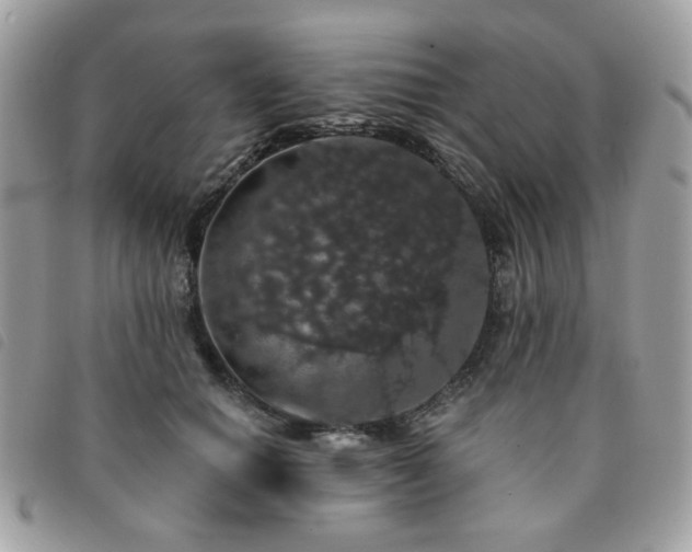 X0000091530654200708171222