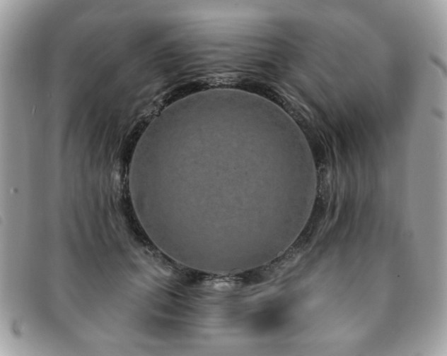 X0000091530655200708171222