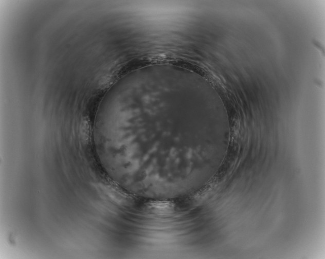 X0000091530659200708171222