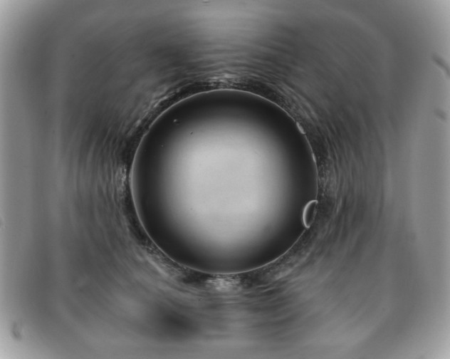 X0000091530660200708171222