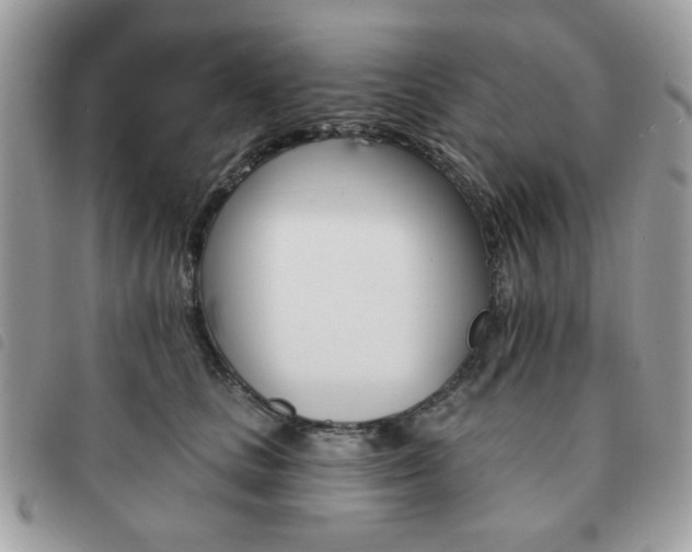 X0000091530661200708171222
