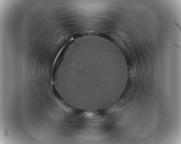 X0000091530662200708171222