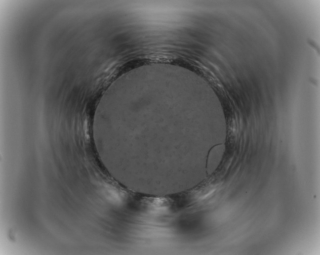 X0000091530663200708171222