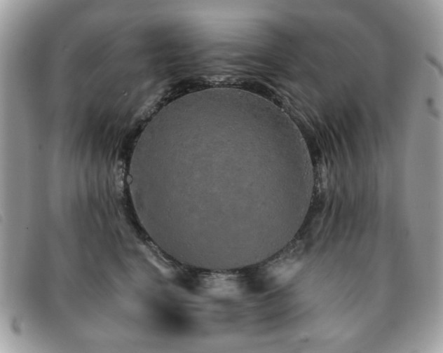 X0000091530664200708171222
