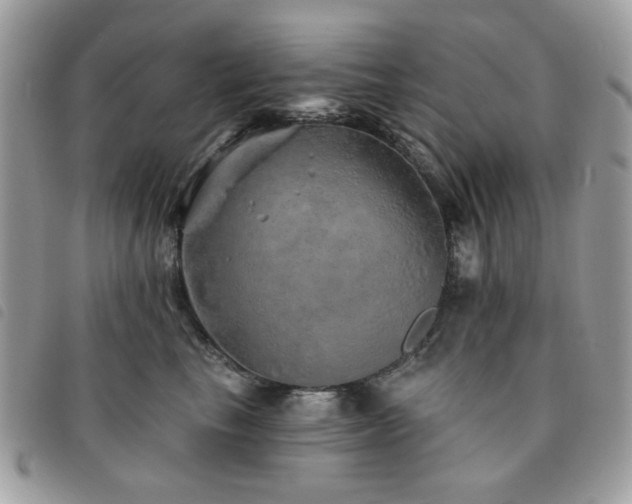 X0000091530665200708171222