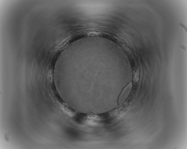 X0000091530666200708171222