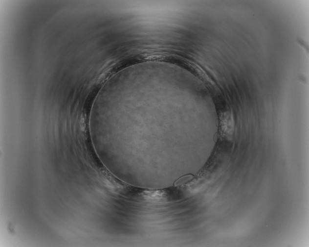 X0000091530667200708171222