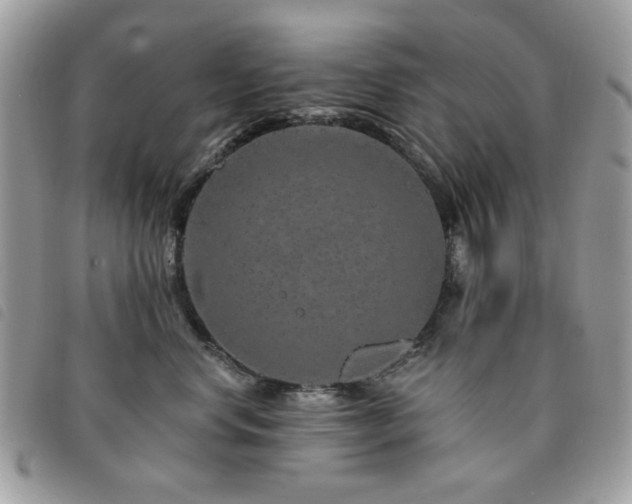 X0000091530668200708171222