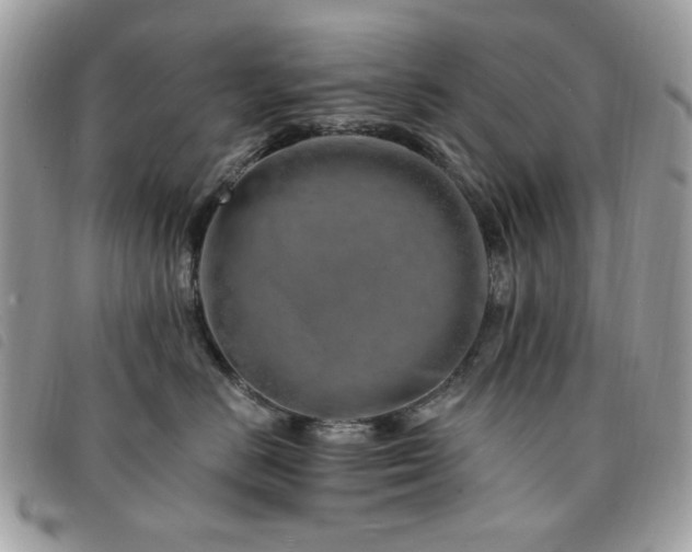 X0000091530670200708171222