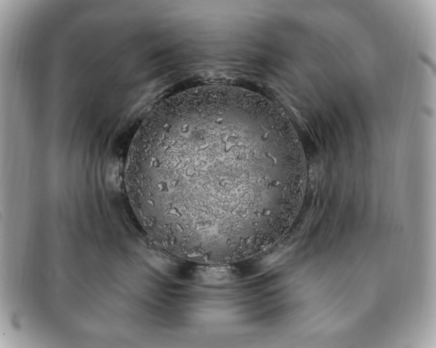 X0000091530671200708171222