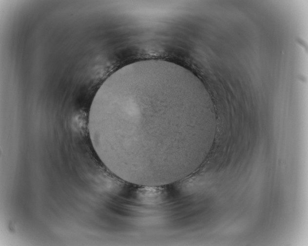 X0000091530672200708171222