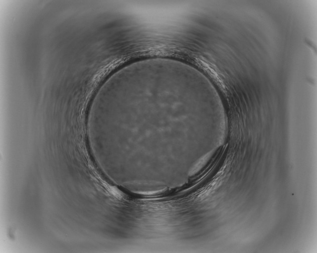 X0000091530673200708171221