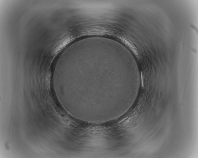 X0000091530675200708171221