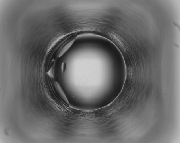 X0000091530676200708171221