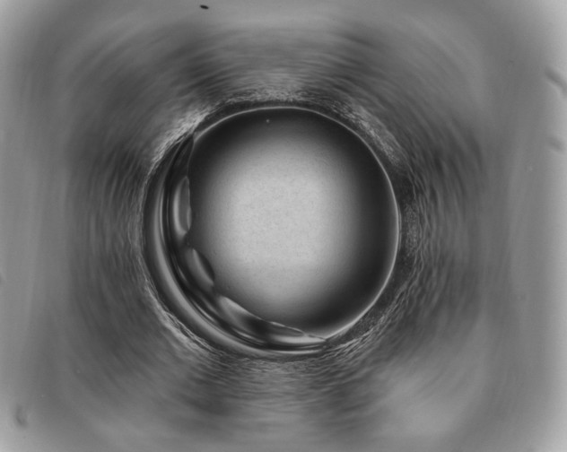 X0000091530677200708171221