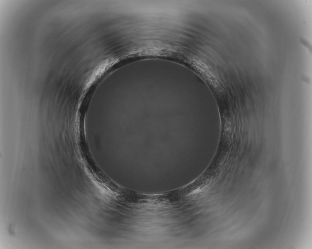 X0000091530678200708171221