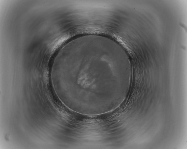 X0000091530679200708171221
