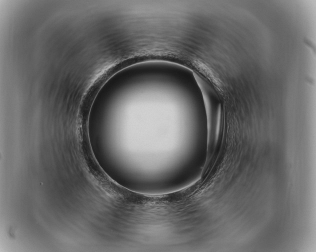 X0000091530680200708171221