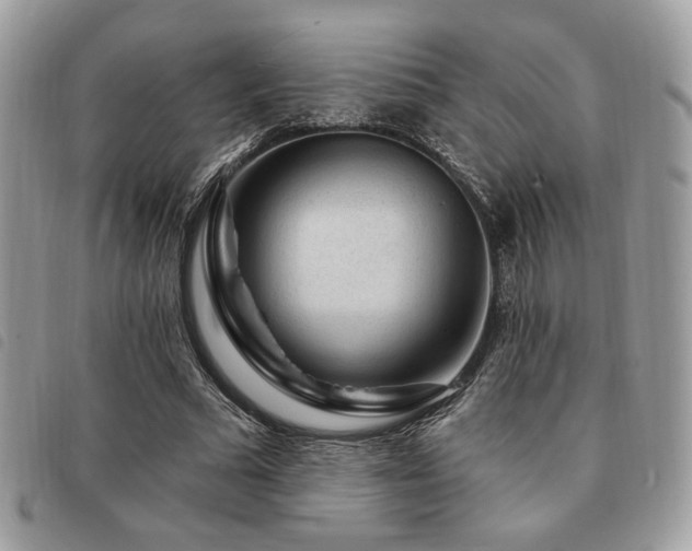 X0000091530681200708171221