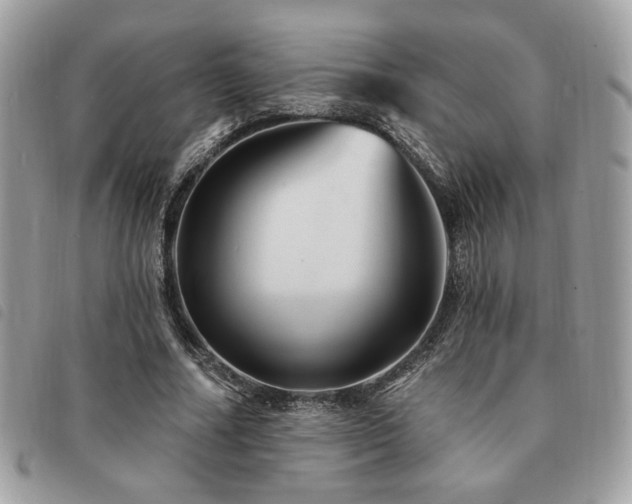X0000091530682200708171221