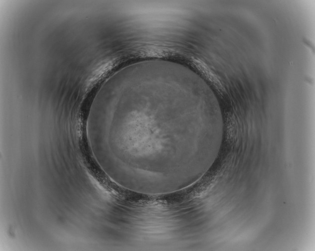 X0000091530683200708171221