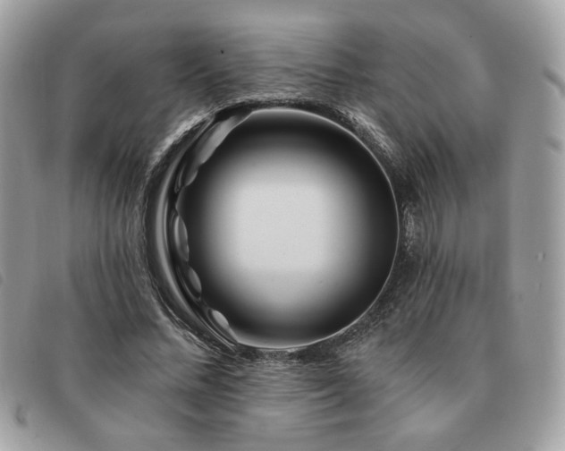 X0000091530684200708171221