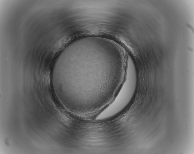 X0000091530685200708171221
