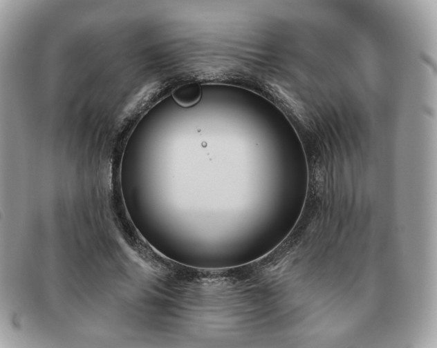X0000091530686200708171221