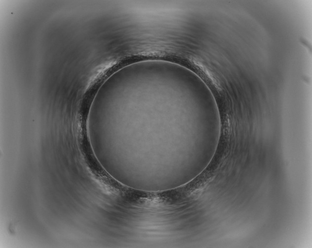 X0000091530688200708171221