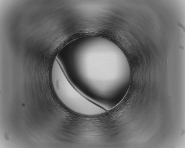 X0000091530689200708171221