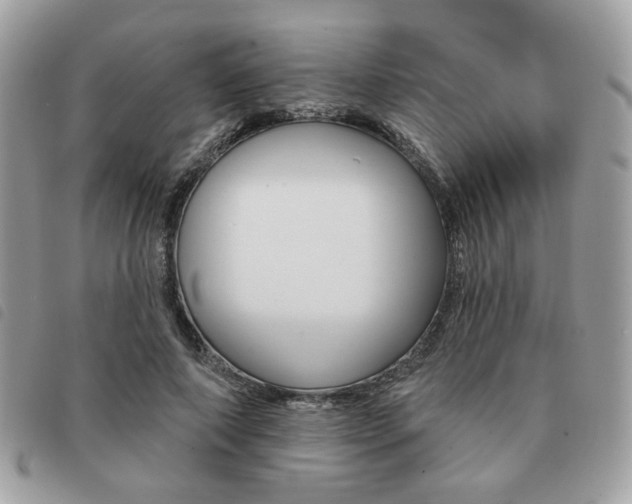X0000091530690200708171221