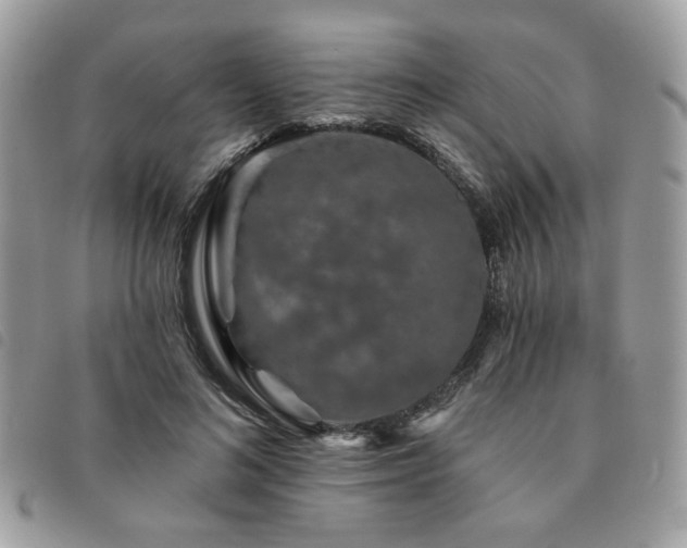 X0000091530692200708171221