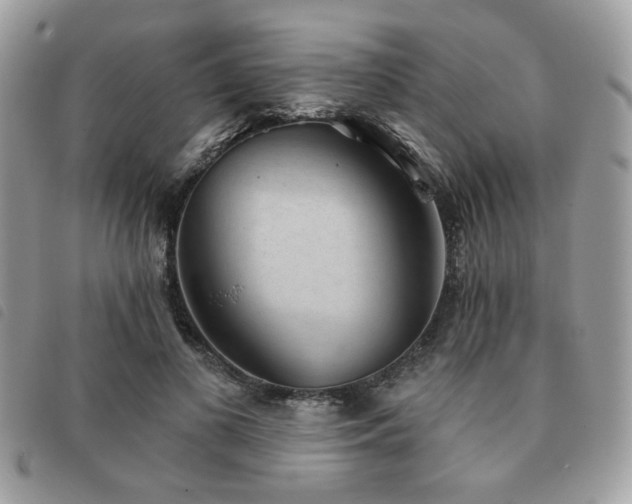 X0000091530693200708171221