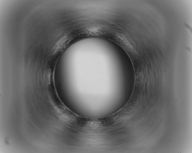 X0000091530694200708171221