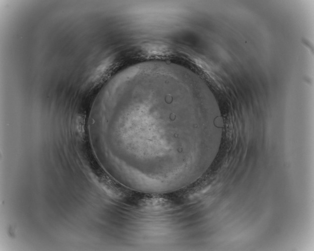 X0000091530695200708171221