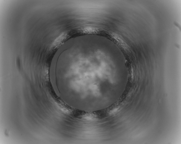 X0000091530696200708171221