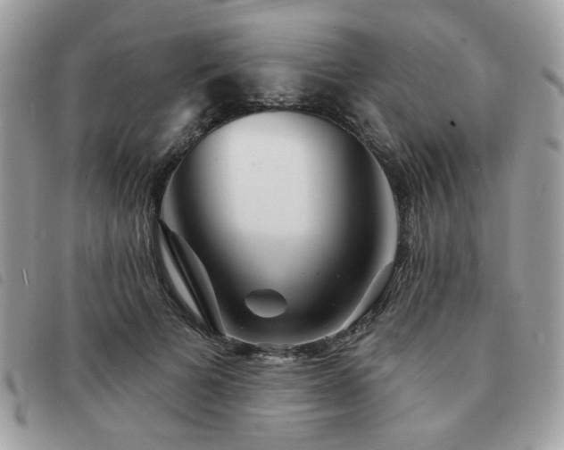 X0000091530697200708171221