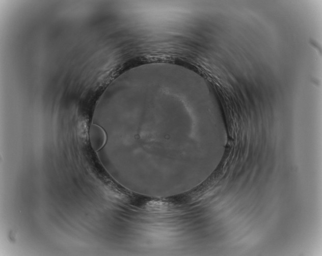 X0000091530699200708171221