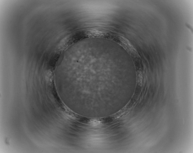 X0000091530701200708171221
