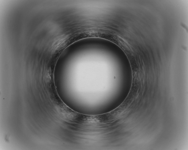 X0000091530702200708171221