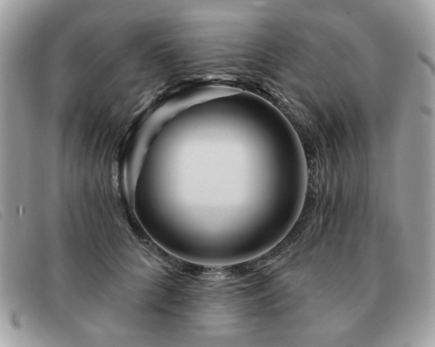 X0000091530704200708171221