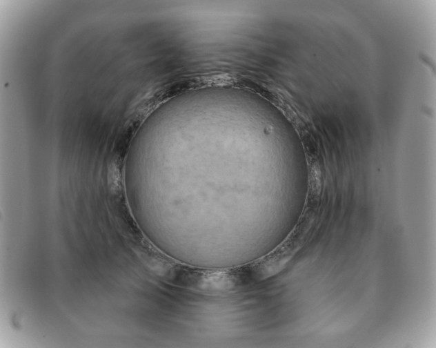 X0000091530705200708171221