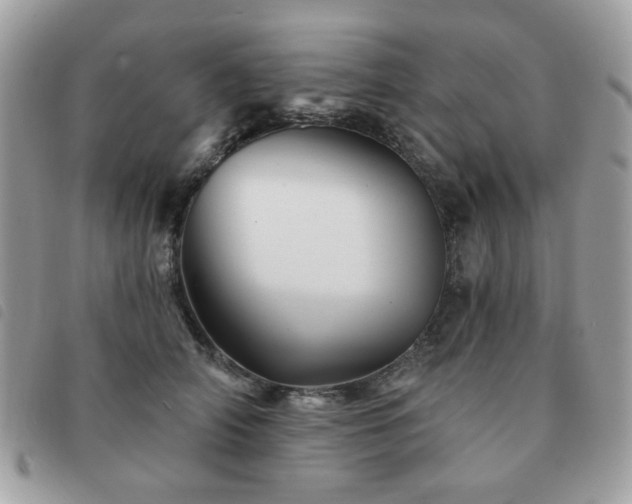 X0000091530706200708171221