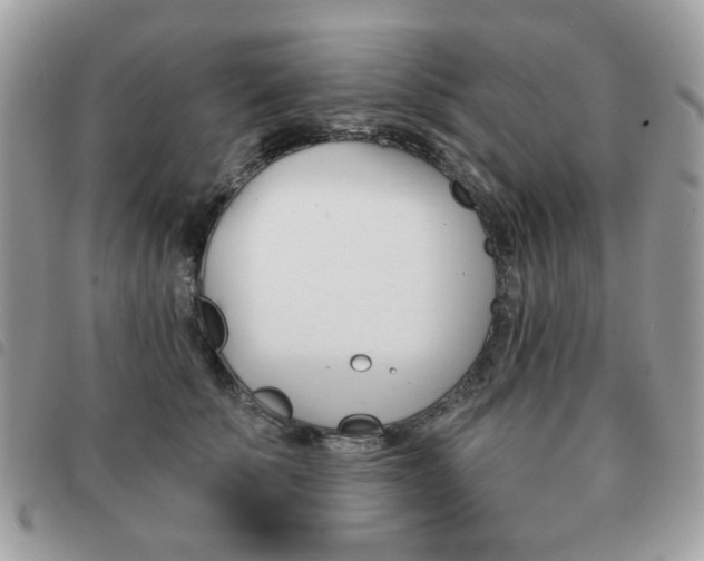X0000091530707200708171221
