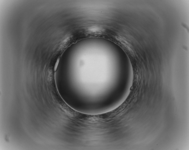 X0000091530708200708171221