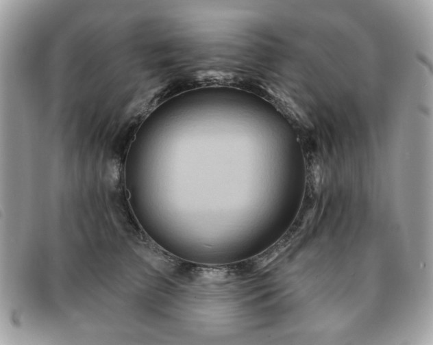 X0000091530709200708171221